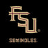 Florida State FSU Seminoles Black Amazon Echo Skin