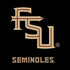 FSU Seminoles Black Moto E5 Play Skin