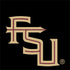 Florida State FSU Seminoles Black Otterbox Commuter Galaxy Skin