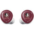 Florida State FSU Seminoles Galaxy Buds Plus Skin