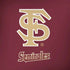 Florida State FSU Seminoles Initials Amazon Echo Skin