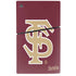 Florida State FSU Seminoles Initials PS5 Slim Disk Console Skin