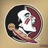 Florida State FSU Seminoles Logo Dell Alienware Skin