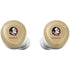 Florida State FSU Seminoles Logo Galaxy Buds Plus Skin