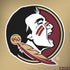 Florida State FSU Seminoles Logo Dell Inspiron Skin