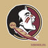 FSU Seminoles Logo PS4 Slim Skin