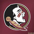 Florida State FSU Seminoles Apple MacBook Pro 15-inch Skin