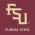 FSU Seminoles Maroon Moto E5 Play Skin