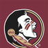 Florida State FSU Seminoles Otterbox Commuter Galaxy Skin