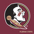 FSU Seminoles PS4 Slim Skin