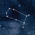 Gemini Constellation iPhone X Pro Case