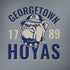 Georgetown University Hoyas 1789 Notebook 9 Pro 13in (2017) Skin
