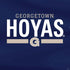 Georgetown University Hoyas Stripe PS4 Pro/Slim Controller Skin