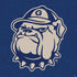 Georgetown University Jack the Bulldog Mascot PS4 Pro/Slim Controller Skin