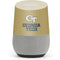 Georgia Institute of Technology Gold LogoType GT Google Home Skin