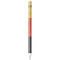 German Flag Distressed Apple Pencil (1st Gen, 2017) Skin