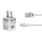 Germany Soccer Flag iPhone Charger (5W USB) Skin