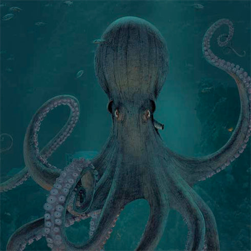 Vincent Hie Giant Octopus Nintendo 2DS XL (2017) Skin