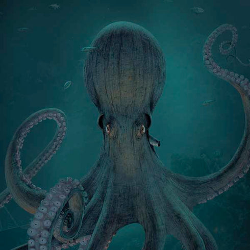 Vincent Hie Giant Octopus Moto G6 Skin