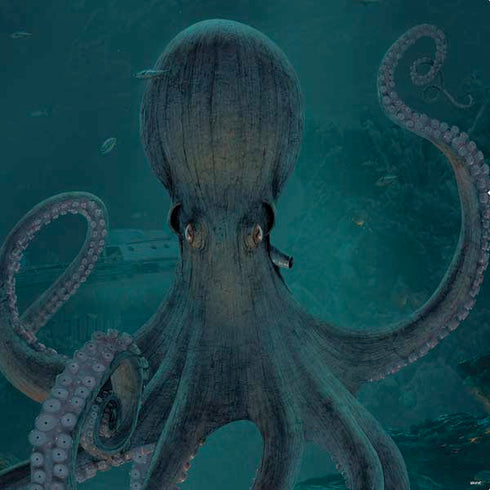 Vincent Hie Giant Octopus PS4 Controller Skin