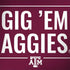Texas A&M University Gig Em Aggies Notebook 9 Pro 13in (2017) Skin