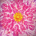 Ginseng Flower Galaxy Note 8 Skin