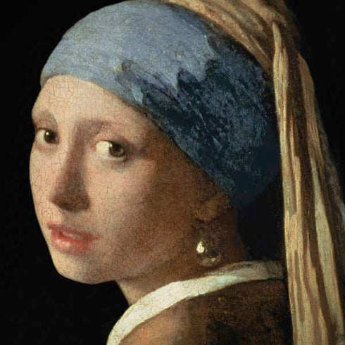 Johannes Vermeer Girl with a Pearl Earring Amazon Echo Skin