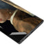 Johannes Vermeer Girl with a Pearl Earring Galaxy Note 10 Plus Skin