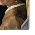 Johannes Vermeer Girl with a Pearl Earring Galaxy Note20 5G Skin