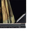 Johannes Vermeer Girl with a Pearl Earring MSI GS65 Stealth Laptop Skin