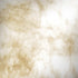 Gold and White Marble Galaxy Note 8 Skin