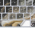 Gold Blush Marble Ink Magic Keyboard Skin