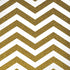 Gold Chevron iPhone XR Pro Case