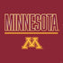 University of Minnesota Athletic Text PS4 Slim Skin