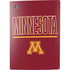 University of Minnesota Athletic Text PS5 Bundle Skin