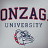 Gonzaga University Collegiate Text HP Spectre Skin