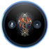 Gothic Dragon & Skull Cross by Sarah Richter Amazon Echo Skin