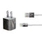 Gothic Princess with Silver Dragon by Nene Thomas iPhone Charger (5W USB) Skin