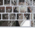 Gothic Princess with Silver Dragon by Nene Thomas Magic Keyboard Skin