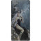 Gothic Queen with Silver Dragon by Nene Thomas Galaxy Note20 5G Skin