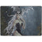 Gothic Queen with Silver Dragon by Nene Thomas Surface Pro 9 Skin