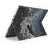 Gothic Queen with Silver Dragon by Nene Thomas Surface Pro 9 Skin