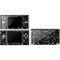Graphite Black DS Lite Skin