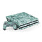 Graphite Turquoise PS4 Pro Bundle Skin
