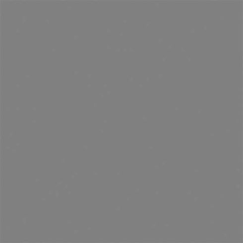 Gray Solid Nintendo 2DS XL (2017) Skin