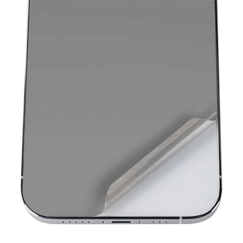 Gray Solid iPhone 12 Pro Max Skin