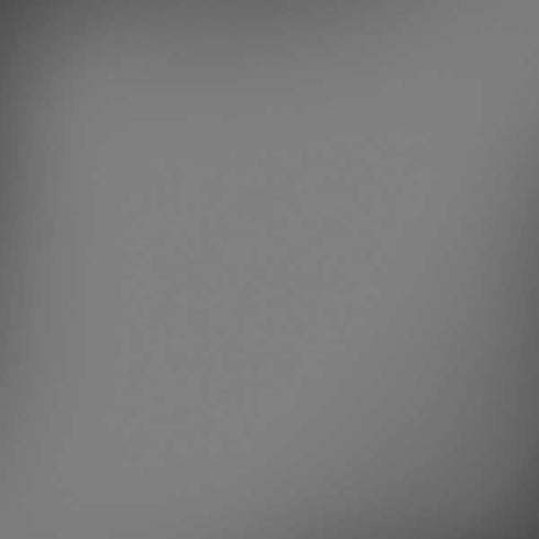 Gray Solid iPhone X Skin