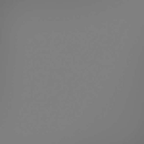 Gray Solid iPhone XS Max Skin