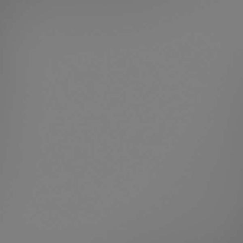 Gray Solid iPhone XS Pro Case