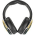 NFL Green Bay Packers Trailblazer Skullcandy Venue Skin